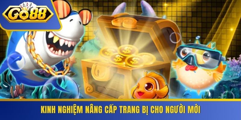 Kinh nghiệm nâng cấp trang bị cho người mới